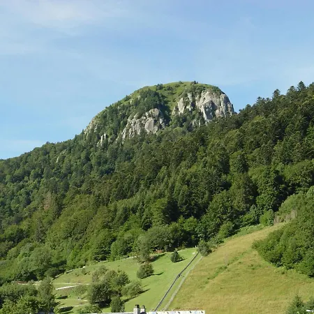Le Progrés Dorlotel Hotel 2*